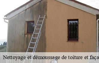Nettoyage et démoussage de toiture et façade 69 Rhône Artisan JD