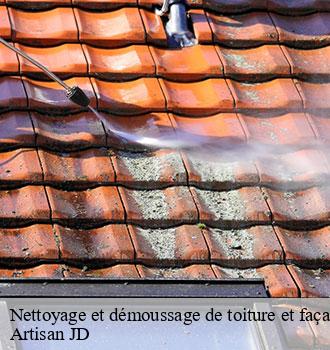 Nettoyage et démoussage de toiture et façade 69 Rhône Artisan JD