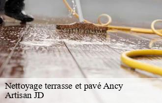 Nettoyage terrasse et pavé  ancy-69490 Artisan JD