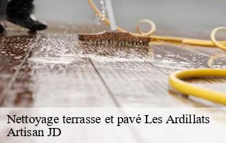Nettoyage terrasse et pavé les-ardillats-69430 Artisan JD