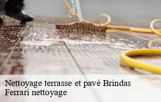 Nettoyage terrasse et pavé  brindas-69126 Ferrari nettoyage