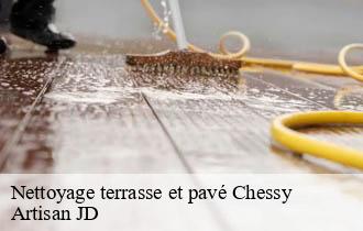 Nettoyage terrasse et pavé chessy-69380 Artisan JD