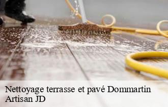 Nettoyage terrasse et pavé dommartin-69380 Artisan JD
