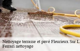 Nettoyage terrasse et pavé  fleurieux-sur-l-arbresle-69210 Ferrari nettoyage