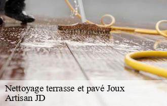 Nettoyage terrasse et pavé joux-69170 Artisan JD