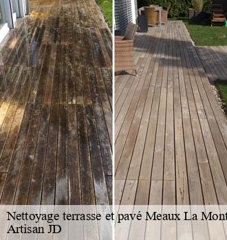 Nettoyage terrasse et pavé meaux-la-montagne-69550 Artisan JD