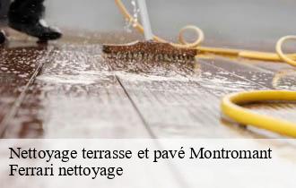 Nettoyage terrasse et pavé  montromant-69610 Ferrari nettoyage