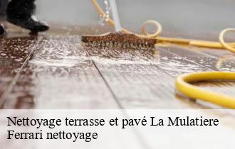 Nettoyage terrasse et pavé  la-mulatiere-69350 Ferrari nettoyage