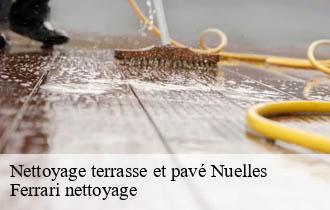 Nettoyage terrasse et pavé  nuelles-69210 Ferrari nettoyage