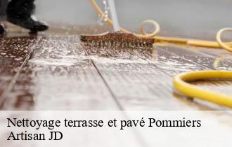 Nettoyage terrasse et pavé  pommiers-69480 Artisan JD