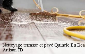 Nettoyage terrasse et pavé quincie-en-beaujolais-69430 Artisan JD