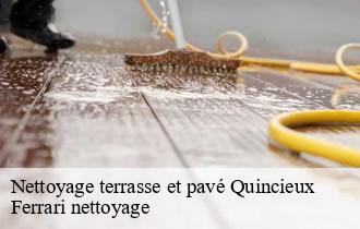 Nettoyage terrasse et pavé  quincieux-69650 Ferrari nettoyage