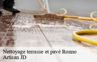 Nettoyage terrasse et pavé ronno-69550 Artisan JD