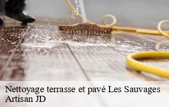 Nettoyage terrasse et pavé les-sauvages-69170 Artisan JD