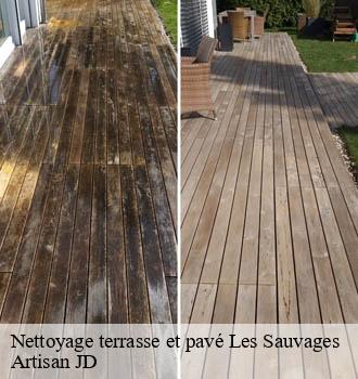 Nettoyage terrasse et pavé les-sauvages-69170 Artisan JD