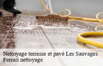 Nettoyage terrasse et pavé  les-sauvages-69170 Ferrari nettoyage