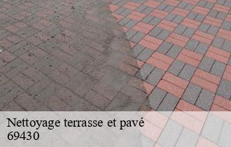 Nettoyage terrasse et pavé  saint-didier-sur-beaujeu-69430 Ferrari nettoyage