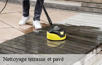 Nettoyage terrasse et pavé  saint-forgeux-69490 Ferrari nettoyage