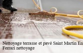 Nettoyage terrasse et pavé  saint-martin-en-haut-69850 Ferrari nettoyage