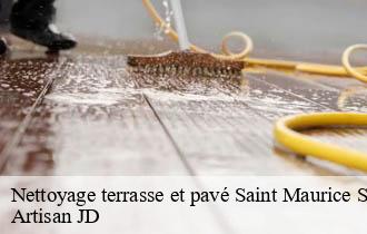 Nettoyage terrasse et pavé saint-maurice-sur-dargoire-69440 Artisan JD