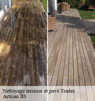 Nettoyage terrasse et pavé trades-69860 Artisan JD