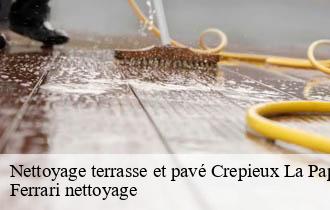 Nettoyage terrasse et pavé  crepieux-la-pape-69140 Ferrari nettoyage