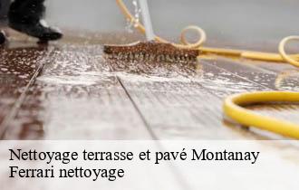 Nettoyage terrasse et pavé montanay-69250 Ferrari nettoyage