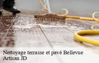 Nettoyage terrasse et pavé bellevue-69440 Artisan JD