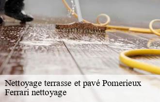 Nettoyage terrasse et pavé  pomerieux-69690 Ferrari nettoyage