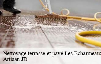 Nettoyage terrasse et pavé les-echarmeaux-69870 Artisan JD