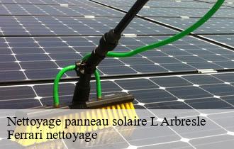 Nettoyage panneau solaire  l-arbresle-69210 Ferrari nettoyage