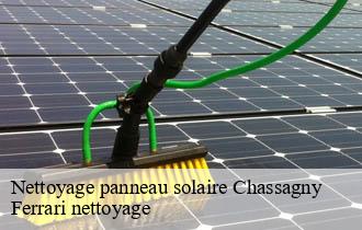 Nettoyage panneau solaire  chassagny-69700 Ferrari nettoyage
