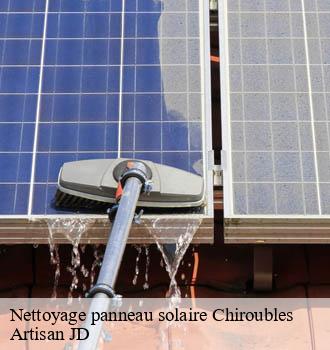 Nettoyage panneau solaire chiroubles-69115 Artisan JD