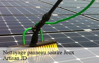 Nettoyage panneau solaire joux-69170 Artisan JD