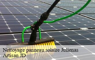 Nettoyage panneau solaire julienas-69840 Artisan JD