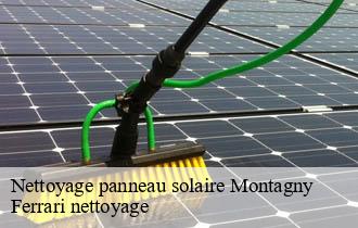 Nettoyage panneau solaire montagny-69700 Ferrari nettoyage