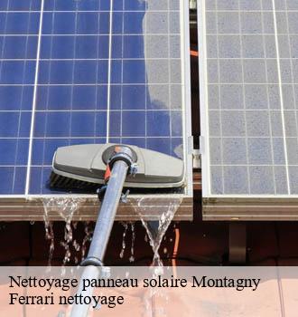 Nettoyage panneau solaire montagny-69700 Ferrari nettoyage