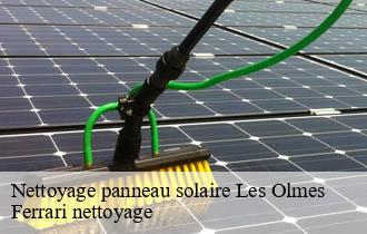 Nettoyage panneau solaire  les-olmes-69490 Ferrari nettoyage