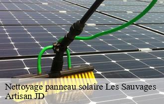 Nettoyage panneau solaire les-sauvages-69170 Artisan JD