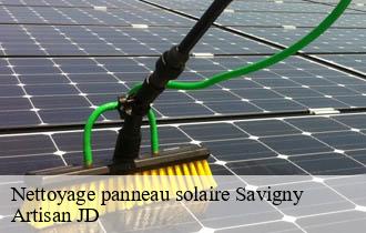 Nettoyage panneau solaire savigny-69210 Artisan JD