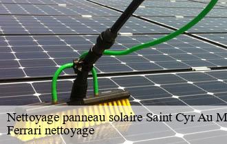 Nettoyage panneau solaire  saint-cyr-au-mont-d-or-69450 Ferrari nettoyage