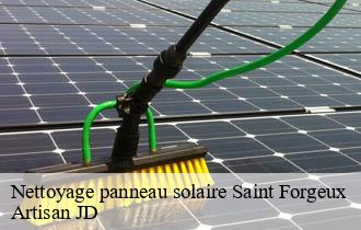 Nettoyage panneau solaire saint-forgeux-69490 Artisan JD