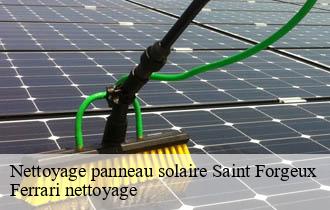 Nettoyage panneau solaire  saint-forgeux-69490 Ferrari nettoyage