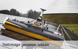 Nettoyage panneau solaire  sept-chemins-69390 Ferrari nettoyage