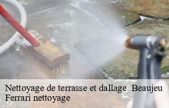 Nettoyage de terrasse et dallage beaujeu-69430 Ferrari nettoyage