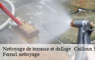 Nettoyage de terrasse et dallage   cailloux-sur-fontaines-69270 Ferrari nettoyage