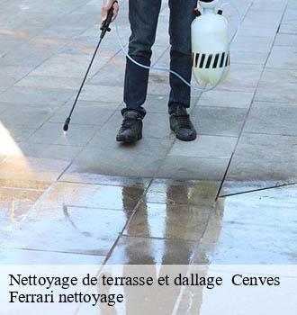 Nettoyage de terrasse et dallage   cenves-69840 Ferrari nettoyage