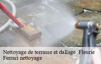 Nettoyage de terrasse et dallage   fleurie-69820 Ferrari nettoyage