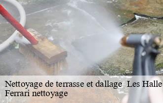 Nettoyage de terrasse et dallage   les-halles-69610 Ferrari nettoyage