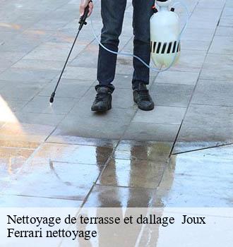 Nettoyage de terrasse et dallage   joux-69170 Ferrari nettoyage